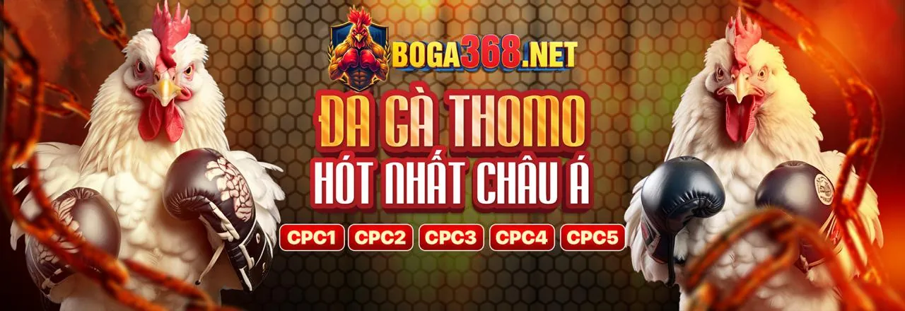 Quy trình đặt cược đá gà tại B52