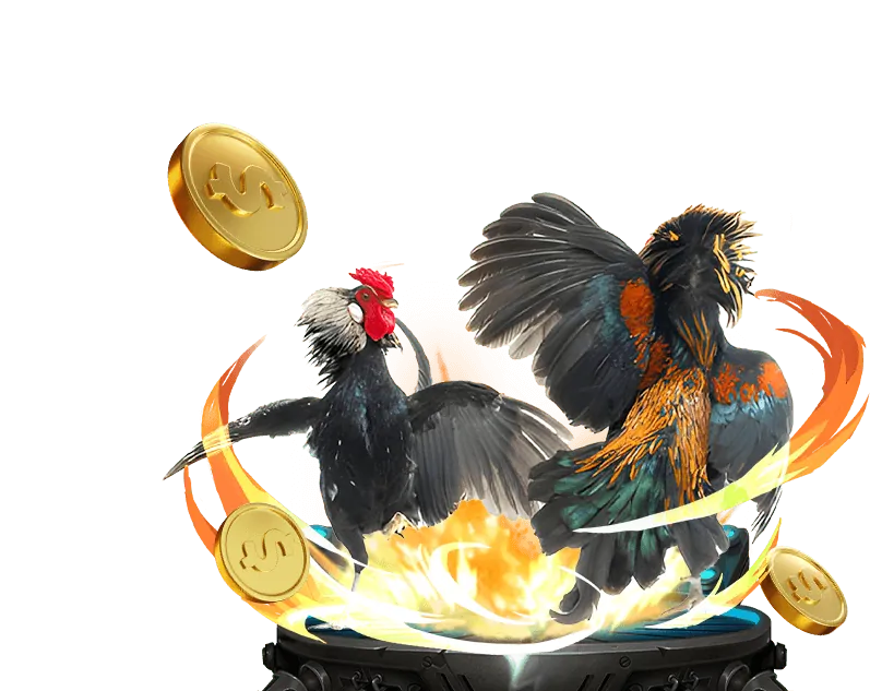 Đá gà trực tiếp B52